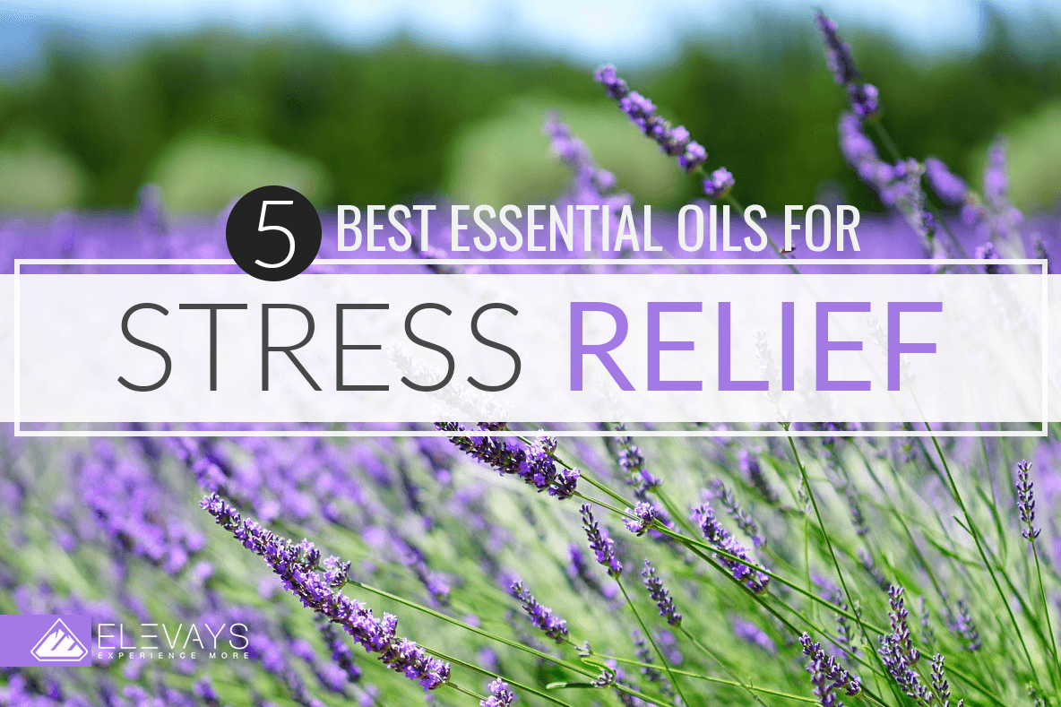 Best Essential Oils for Stress Relief