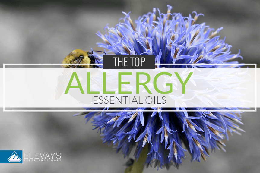 essential oils for skin allergies how to use the best essential oils for hair loss essential oils for skin allergies how to use the best essential oils for hair loss